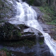 Cariocando na Floresta da Tijuca