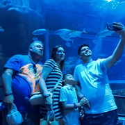 Cariocando no AquaRio e Boulevard Olímpico